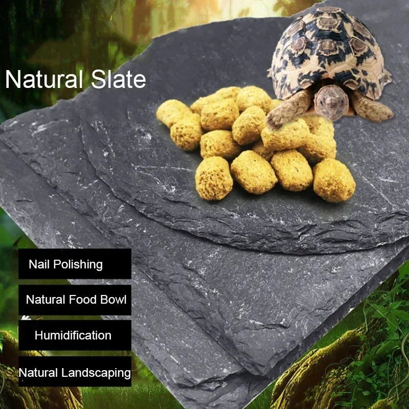 Aquarium Fish Food - Natural Slate Aquarium Pet Réptil Alimentador,