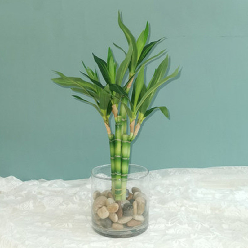 Aquarium Fish Pot - Novo 40cm rftificial sorte bambu suculenta