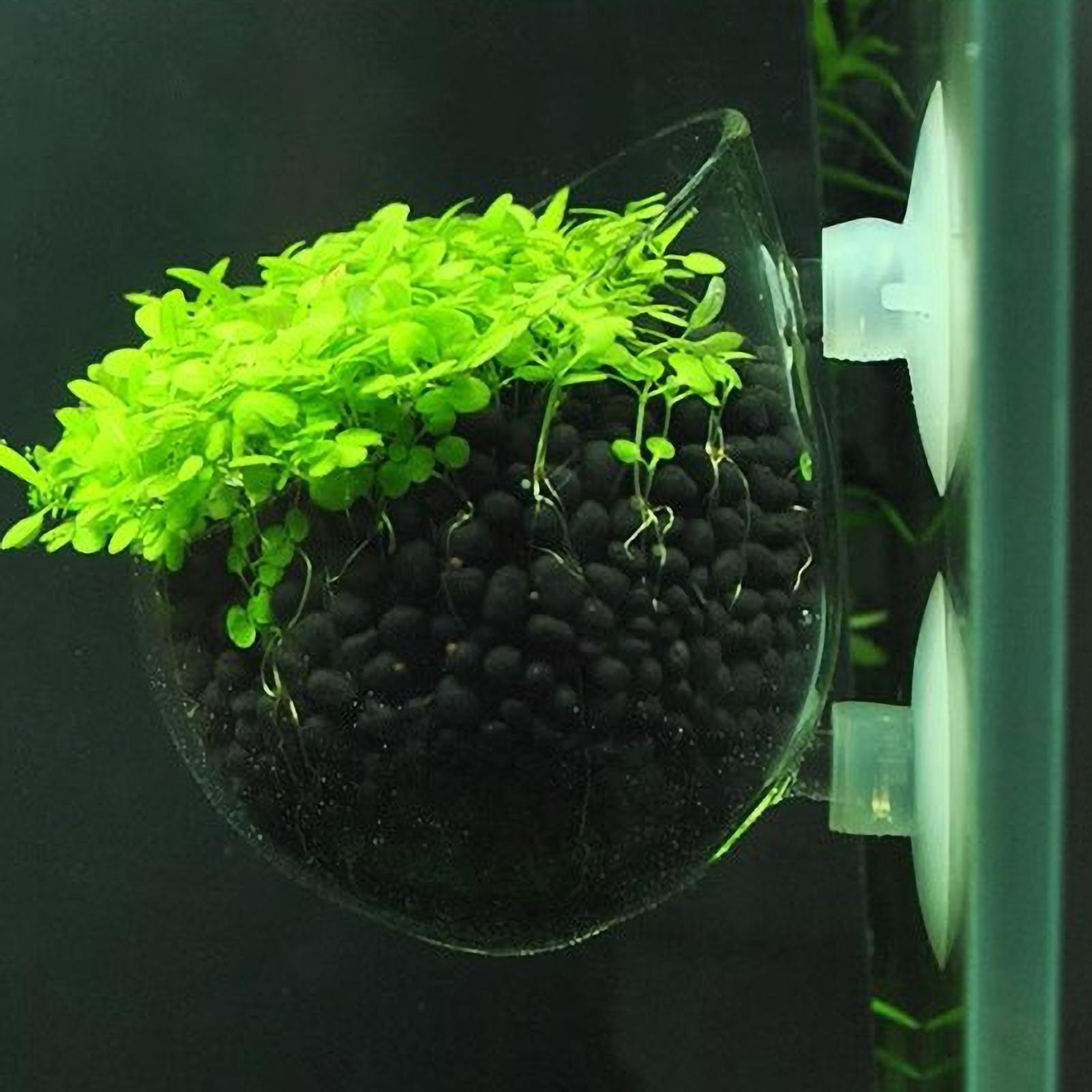 Aquarium Fish Pot - Suporte de Plantas para Aquário, Vaso