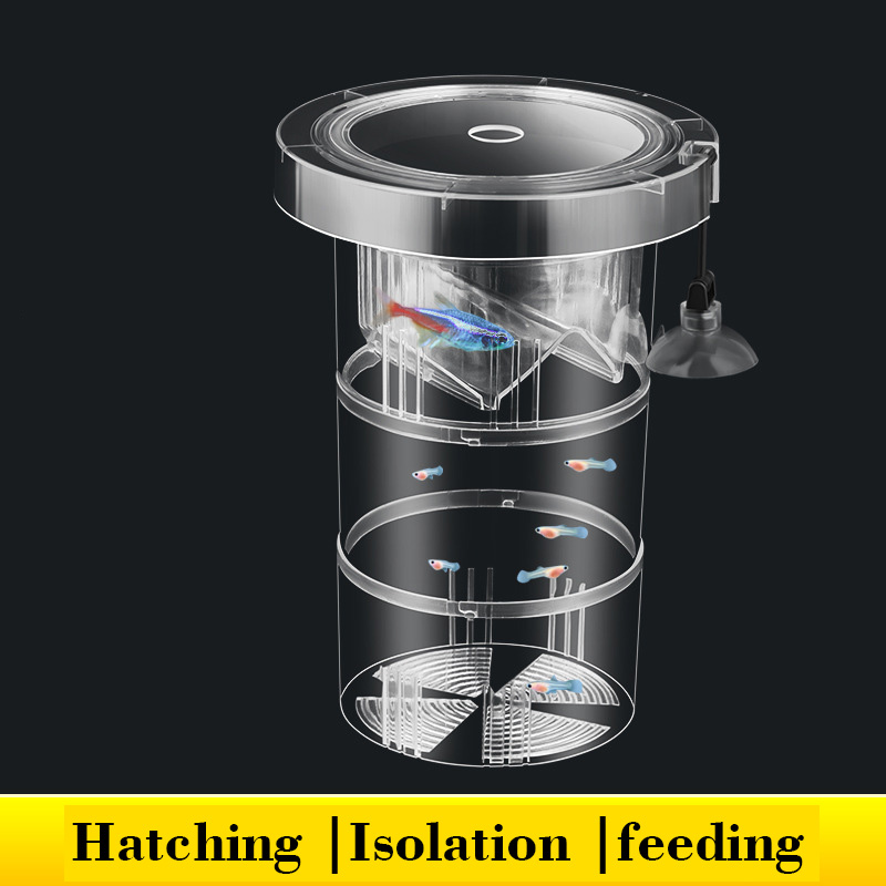 Aquarium Fish Breeding - Caixa de isolamento flutuante para criação