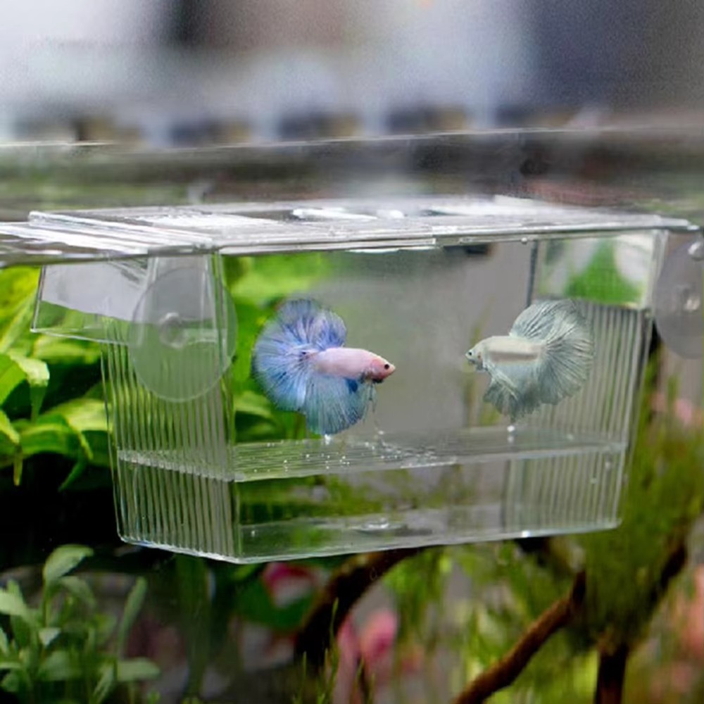 Aquarium Fish Reproduction - Aquário Criativo de Acrílico para Criação