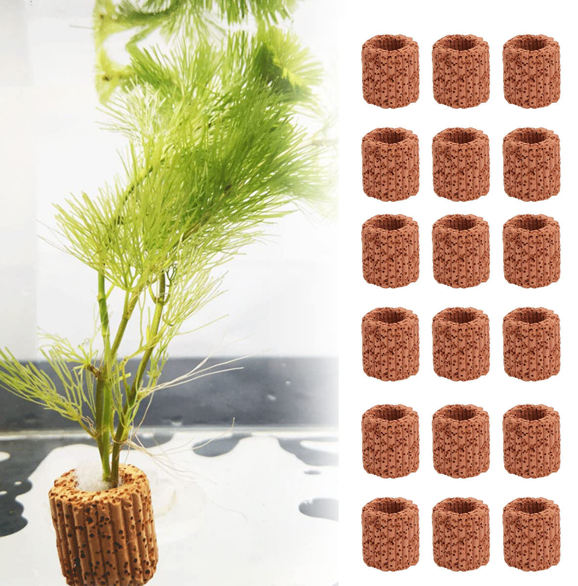 Aquarium Fish Pot - Aquatic Water Plant Fixed Ring Base