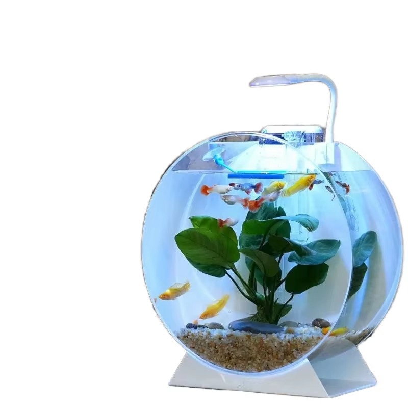 Aquarium Fish Sale - Venda quente moderno eco-friendly acrílico tanques