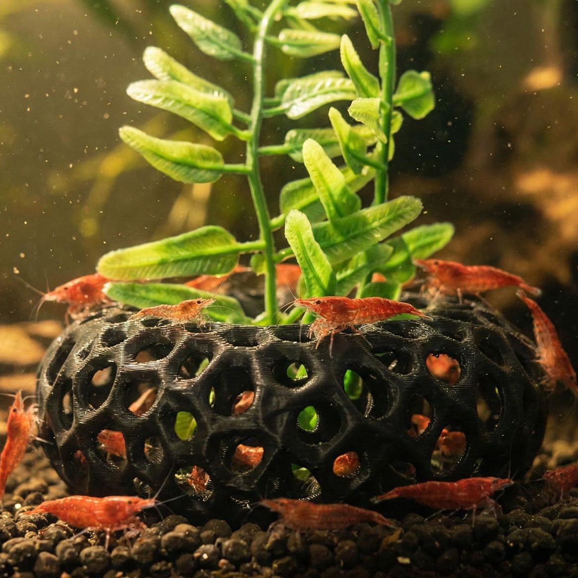 Aquarium Fish Reproduction - Decoração criativa para aquários: casa de
