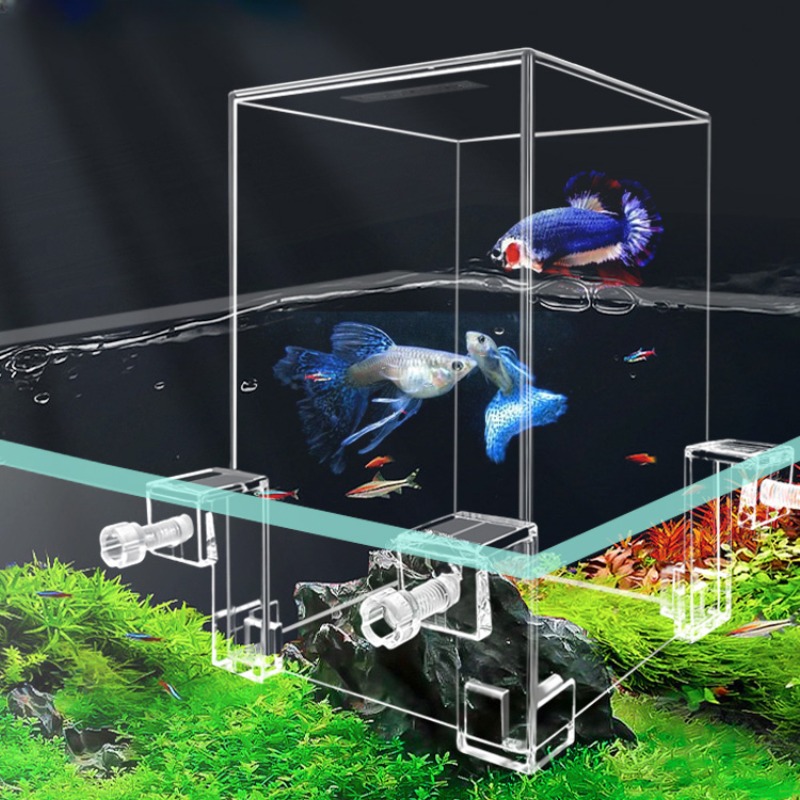 Aquarium Fish Pot - Aquário de pressão negativa para peixes