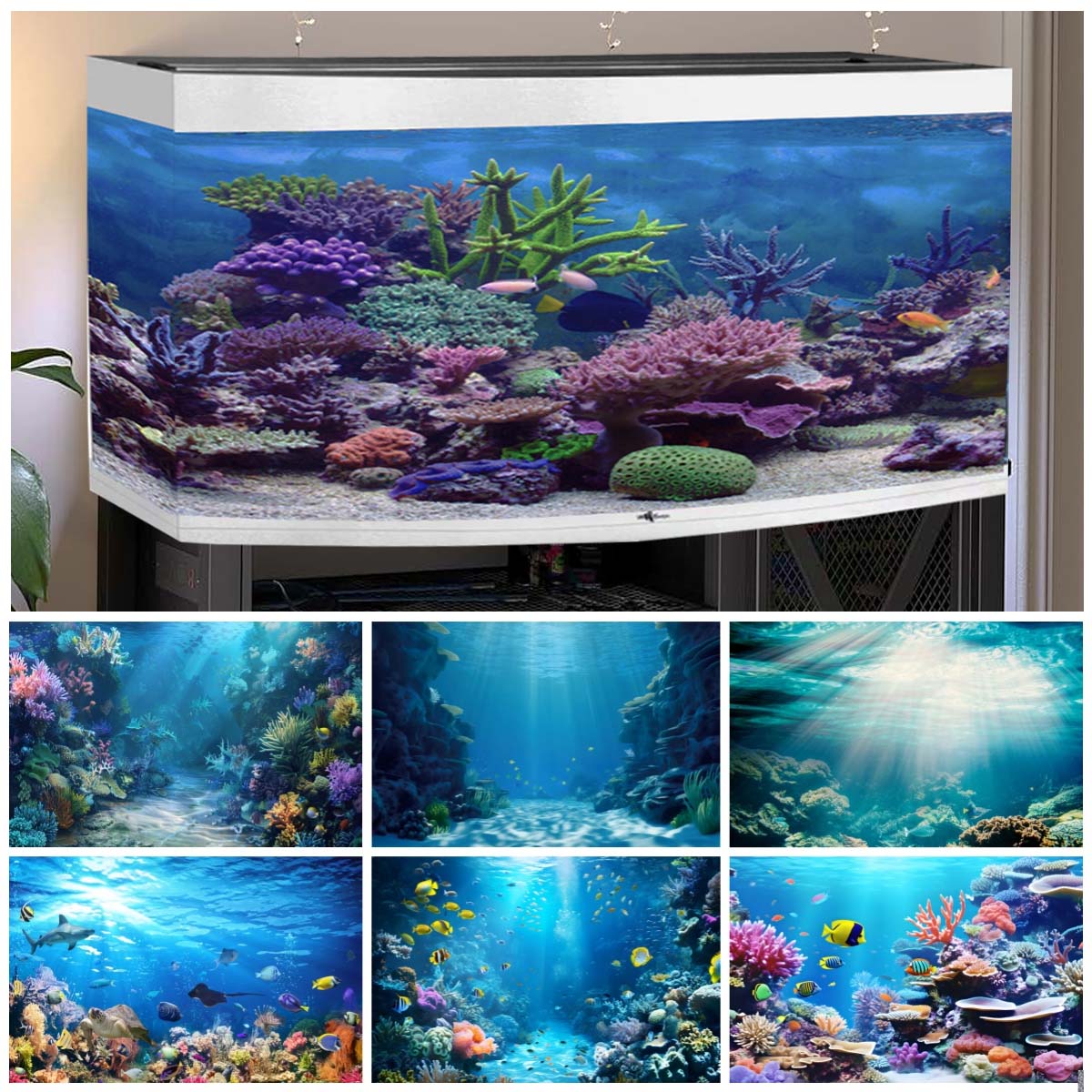 Aquarium Fish World - Fundos do mundo subaquático para fotografias
