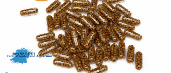 Aquarium Fish Photography - Fertilizante de raiz 40tab para plantas