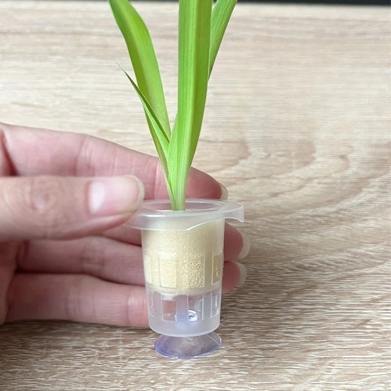 Aquarium Fish Pot - 50 pçs/10 pçs cesta de plantio