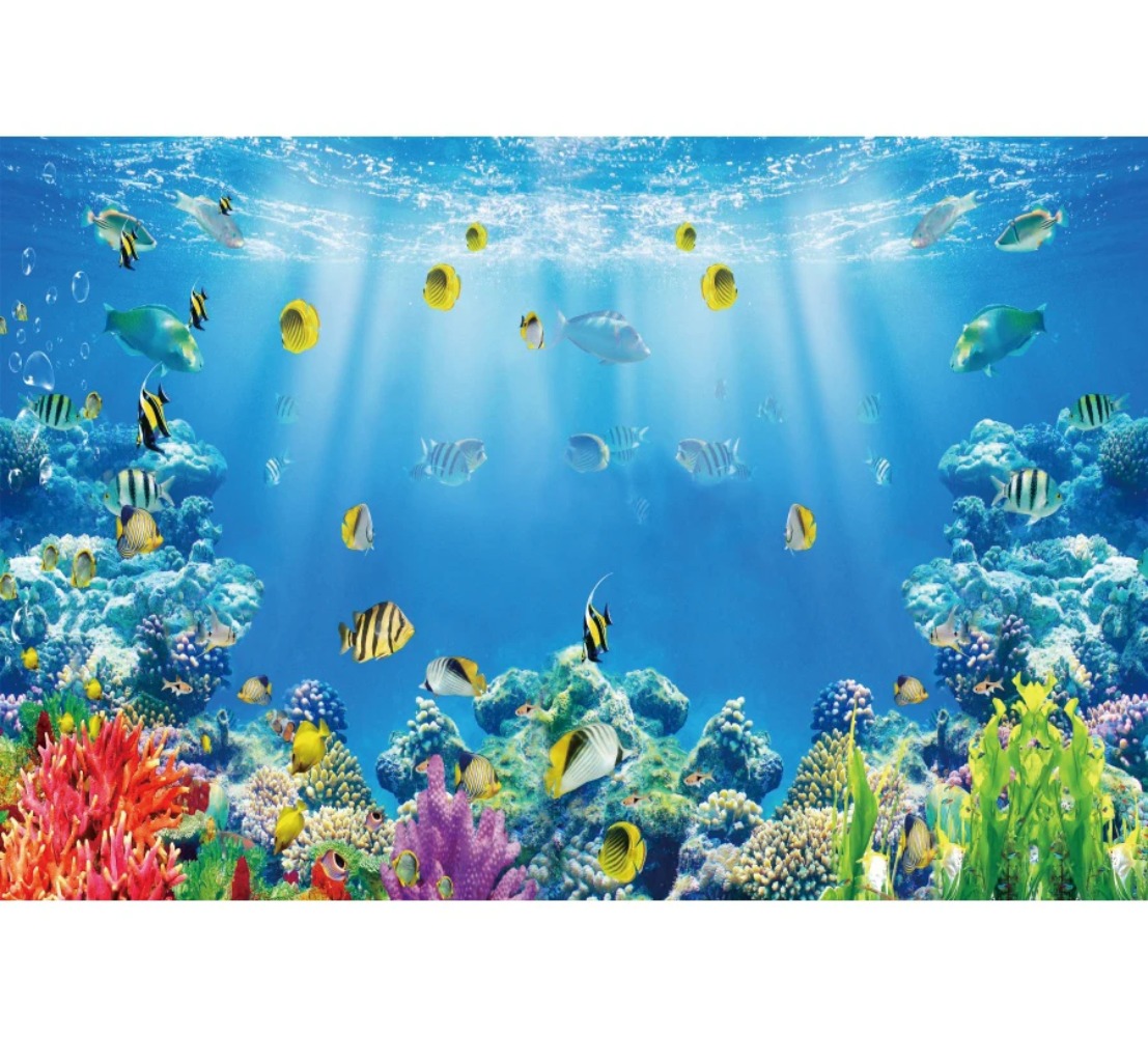 Fundo Fotográfico Temático Aqu - Aquarium Fish World avaliação e preço