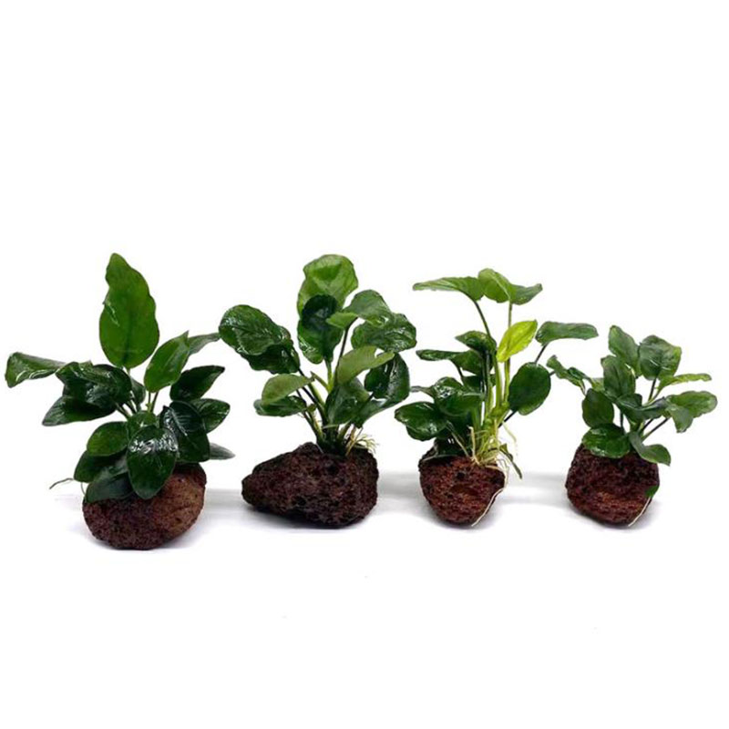 Decoração de aquário vulcânico - Aquarium Fish Pot avaliação e preço