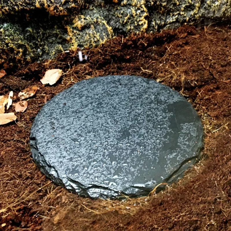 Natural Slate Aquarium Pet Rép - Aquarium Fish Food avaliação e preço