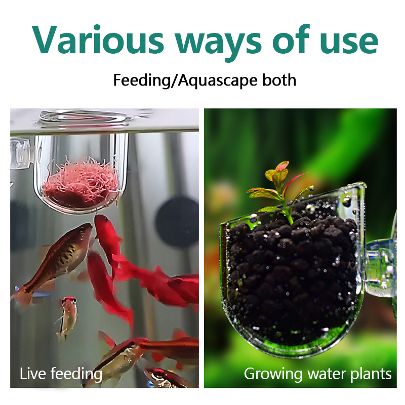 Copo para Plantas Aquáticas de - Aquarium Fish Pot avaliação e preço