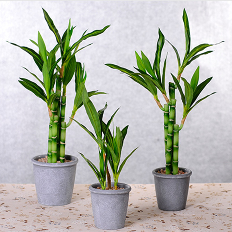 Novo 40cm rftificial sorte bam - Aquarium Fish Pot avaliação e preço