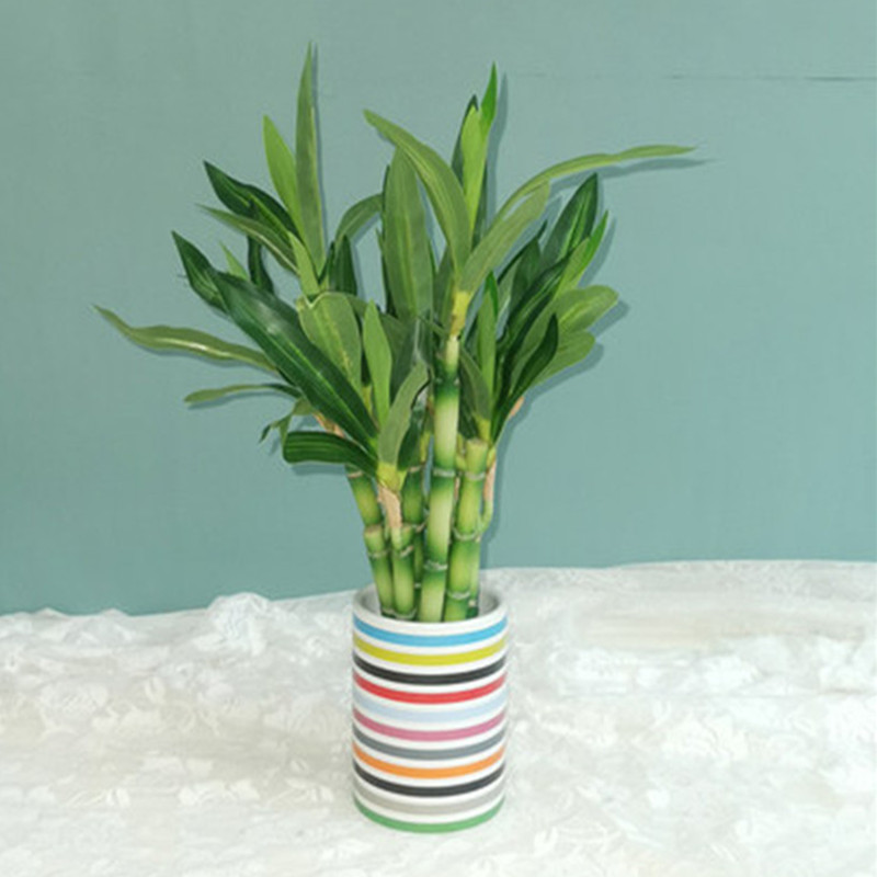 Novo 40cm rftificial sorte bam - Aquarium Fish Pot avaliação e preço