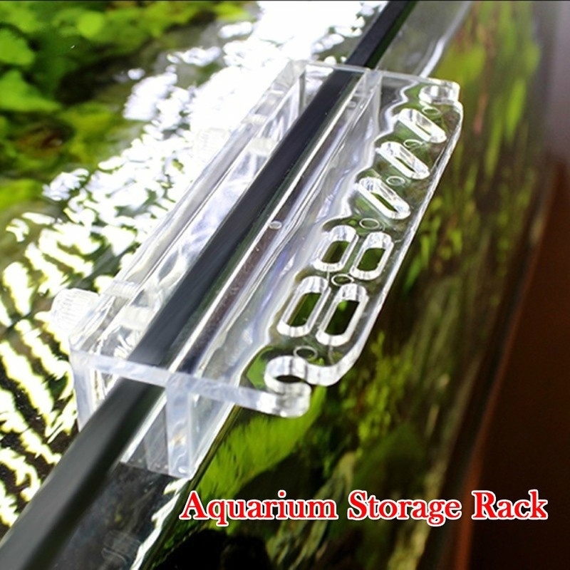 1 pçs novo aquário planta ferr - Aquarium Fish Photography avaliação e preço
