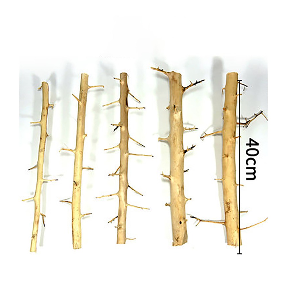Shenmu-Needle Wood Thorn Aquar - Aquarium Fish Sale avaliação e preço