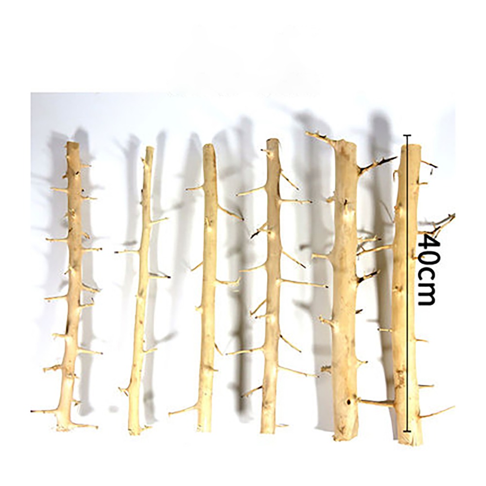 Shenmu-Needle Wood Thorn Aquar - Aquarium Fish Sale avaliação e preço