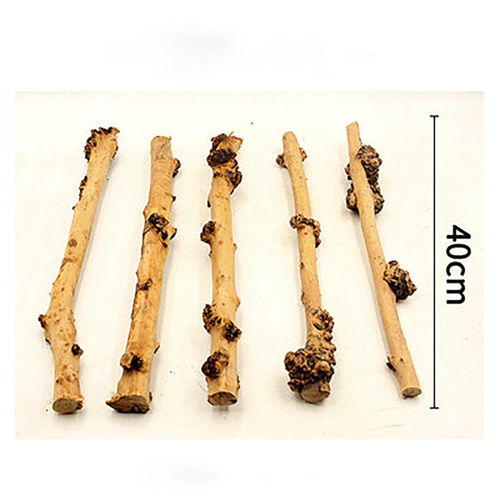 Shenmu-Needle Wood Thorn Aquar - Aquarium Fish Sale avaliação e preço