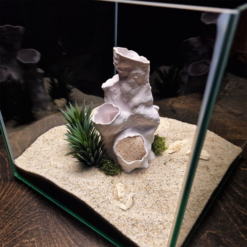 Oferta Imperdível: Decoração 3 - Aquarium Fish Sale avaliação e preço