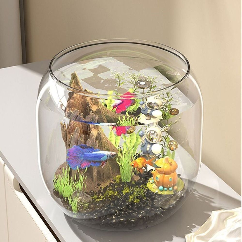 Aquário Redondo Transparente A - Aquarium Fish Live avaliação e preço