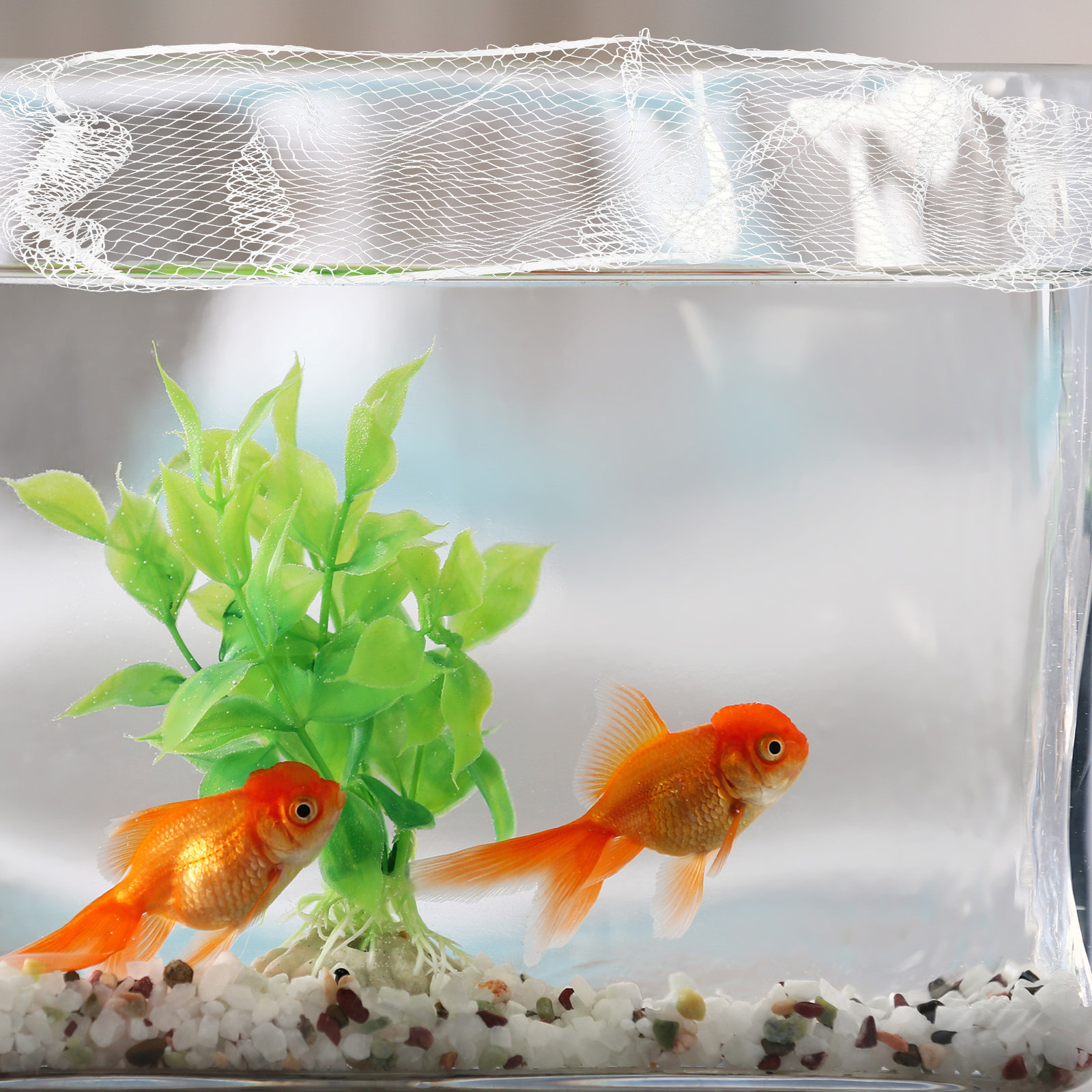 Rede de Nylon para Aquário 40x - Aquarium Fish Keeping avaliação e preço