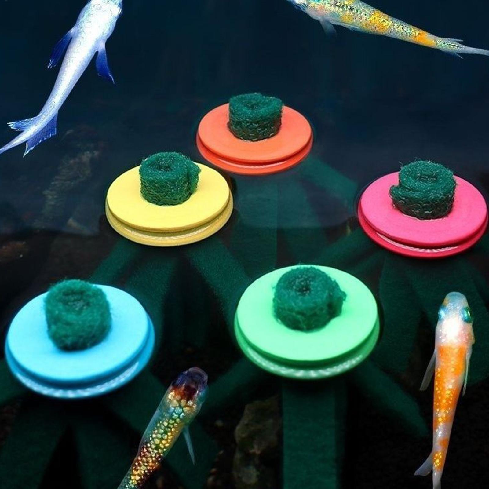 10 Peças Mop Decorativo para A - Aquarium Fish Food avaliação e preço