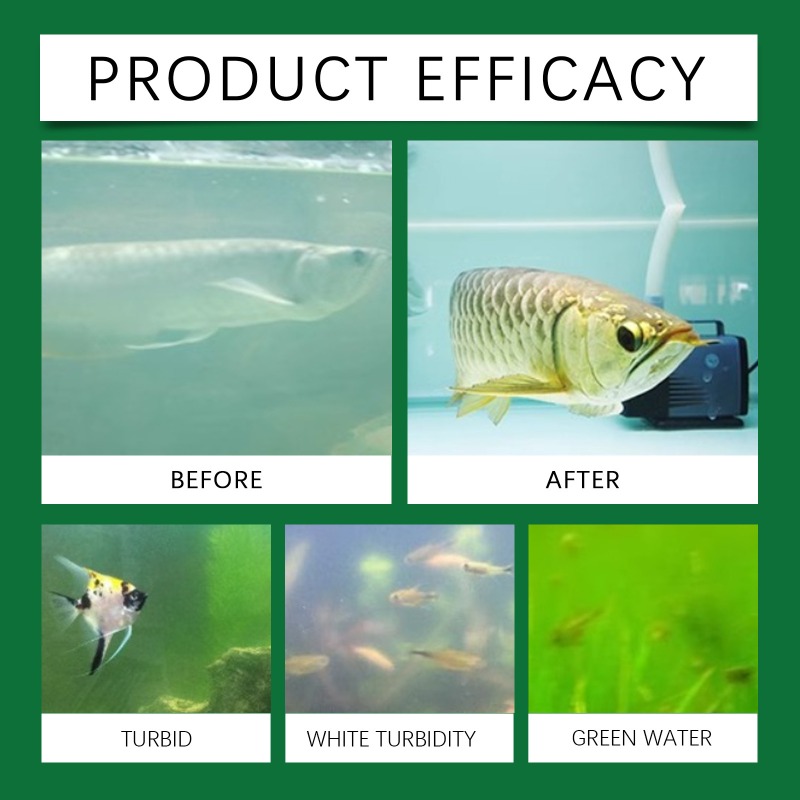 Tabletes Purificadores de Água - Aquarium Fish Keeping avaliação e preço