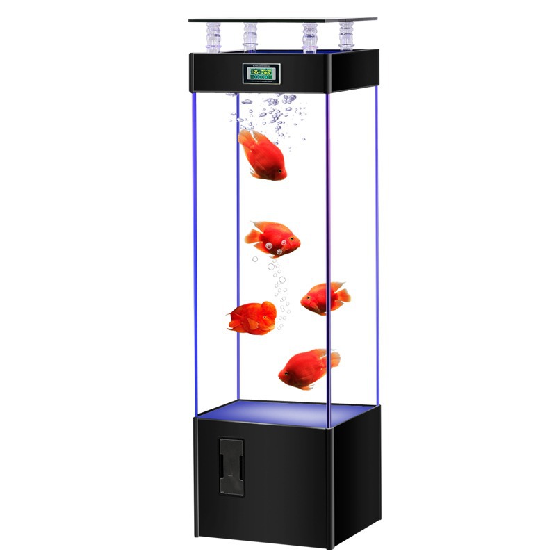 Aquário de vidro ultra transpa - Aquarium Fish Live avaliação e preço