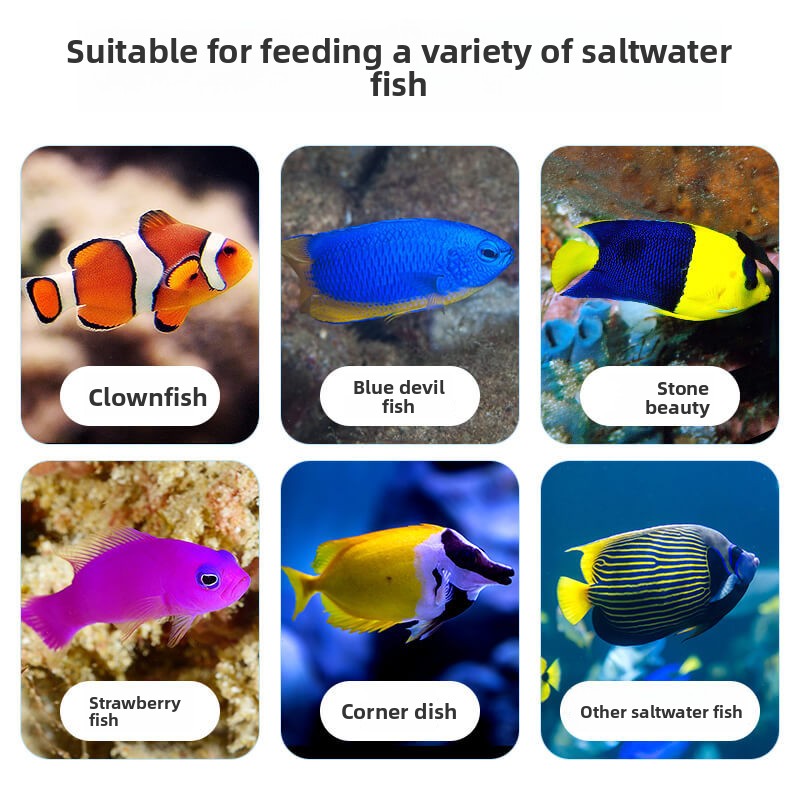 DEERA Clownfish e comida Tang  - All Fish In Aquarium avaliação e preço