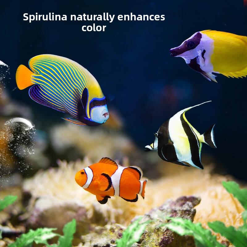 DEERA Clownfish e comida Tang  - All Fish In Aquarium avaliação e preço