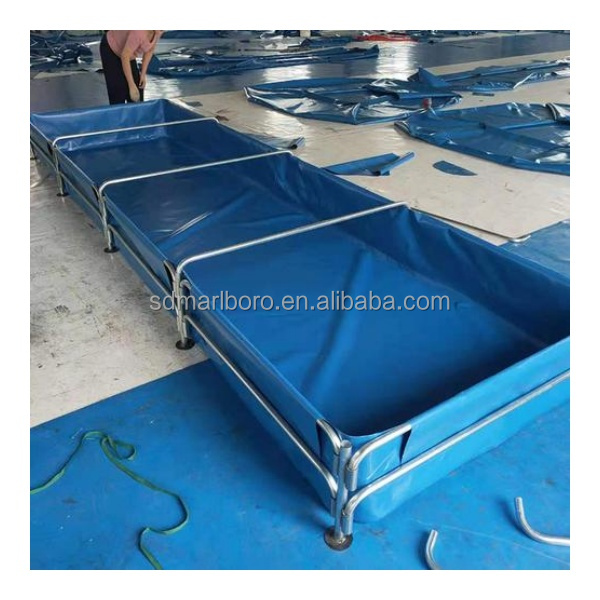 Aquários Transparentes Comerci - Aquarium Fish Sale avaliação e preço