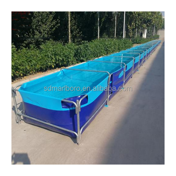 Aquários Transparentes Comerci - Aquarium Fish Sale avaliação e preço