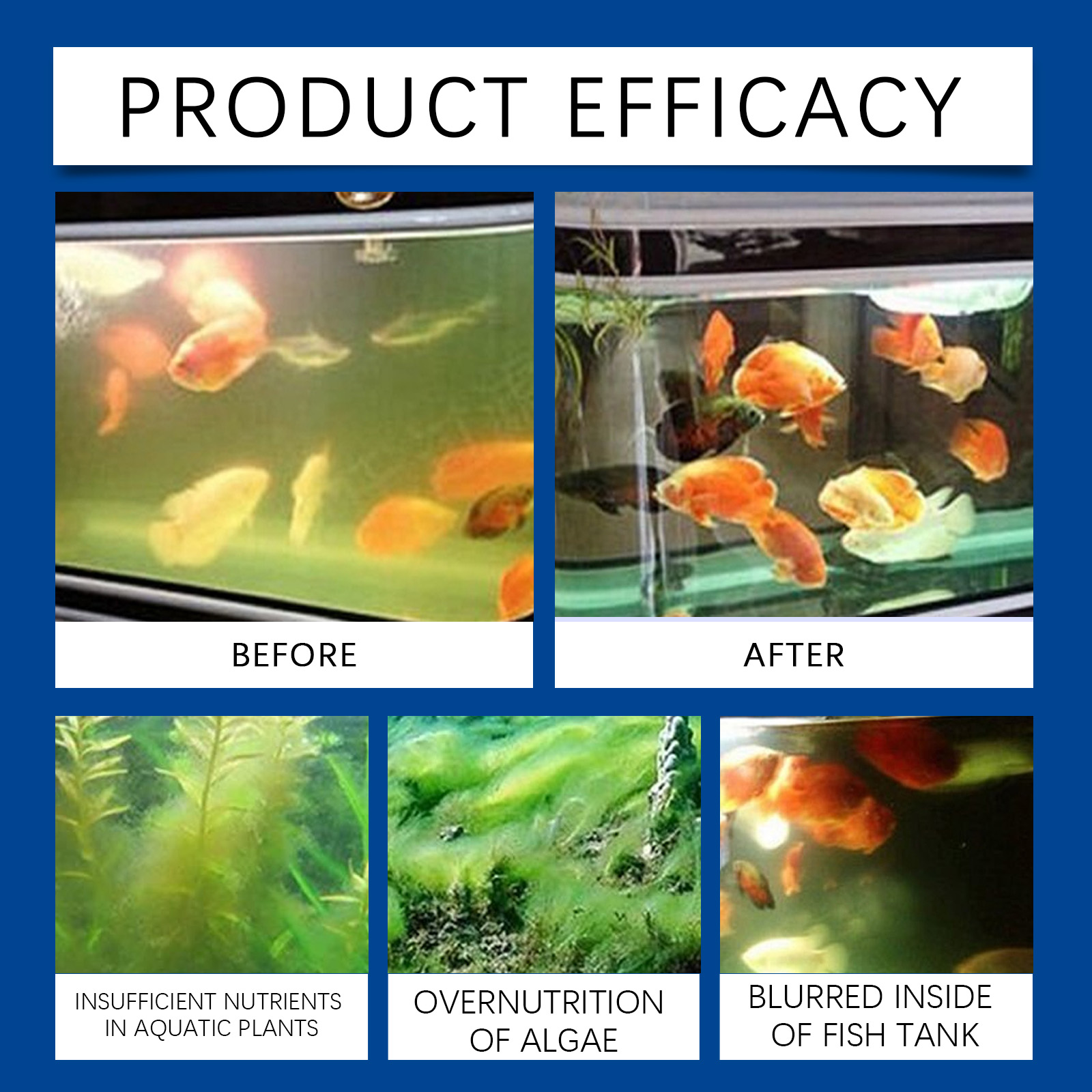 Clarificador de água para aquá - Aquarium Fish Breeding avaliação e preço