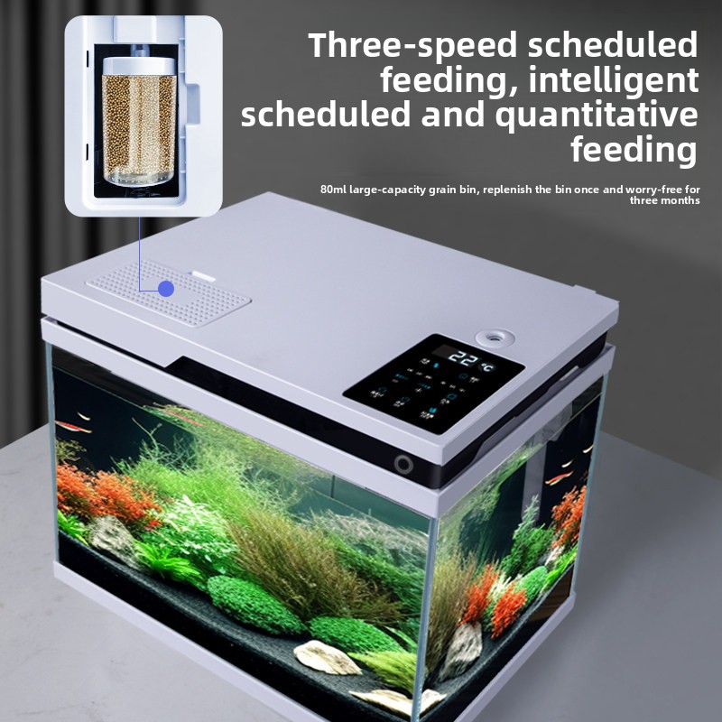 Aquário de Vidro Transparente  - All Fish In Aquarium avaliação e preço