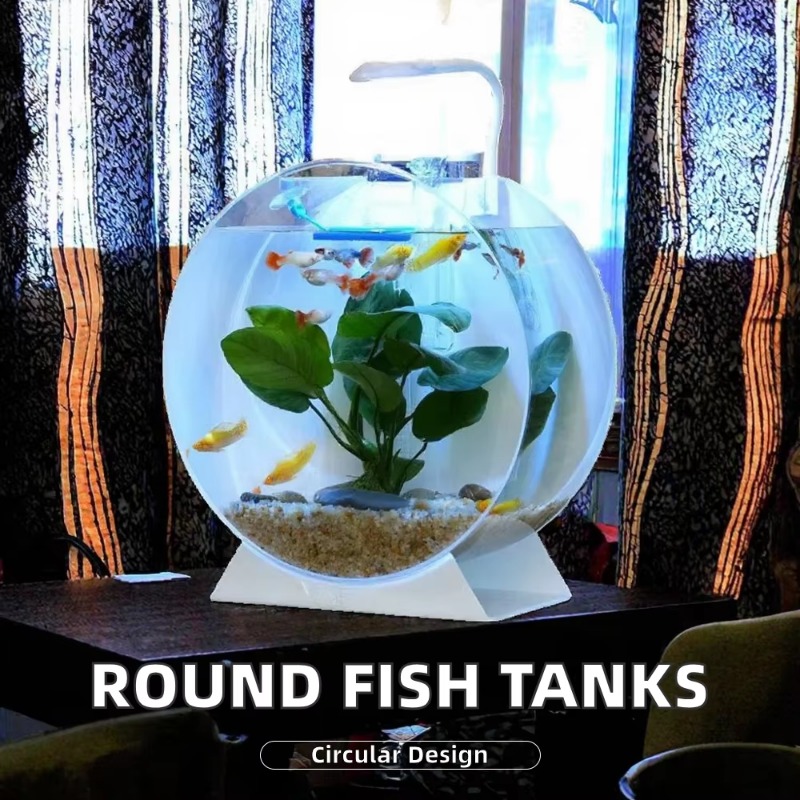 Venda quente moderno eco-frien - Aquarium Fish Sale avaliação e preço