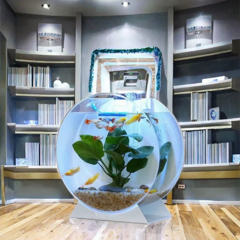 Venda quente moderno eco-frien - Aquarium Fish Sale avaliação e preço