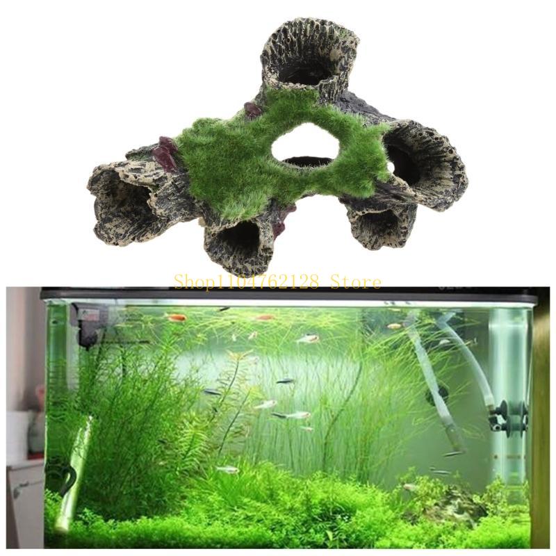 Peixe para decoração tanque, a - Aquarium Fish Sale avaliação e preço