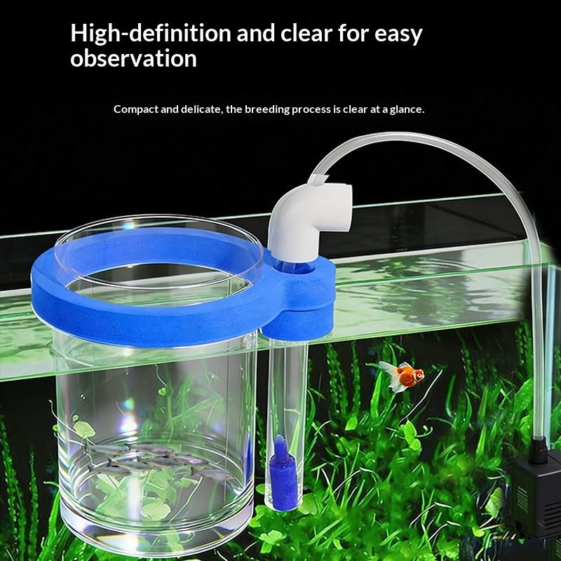 Caixa de Criação de Peixes em  - Aquarium Fish Food avaliação e preço