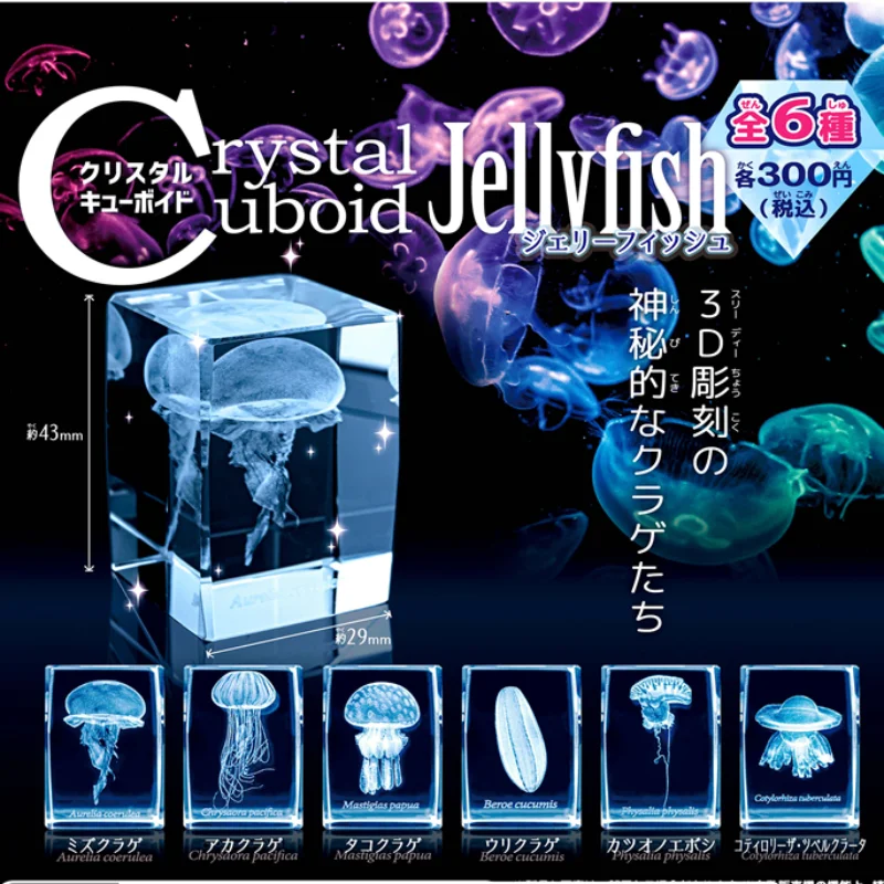 Japão Gashapon Jellyfish 3D Fi - Aquarium Fish Keeping avaliação e preço