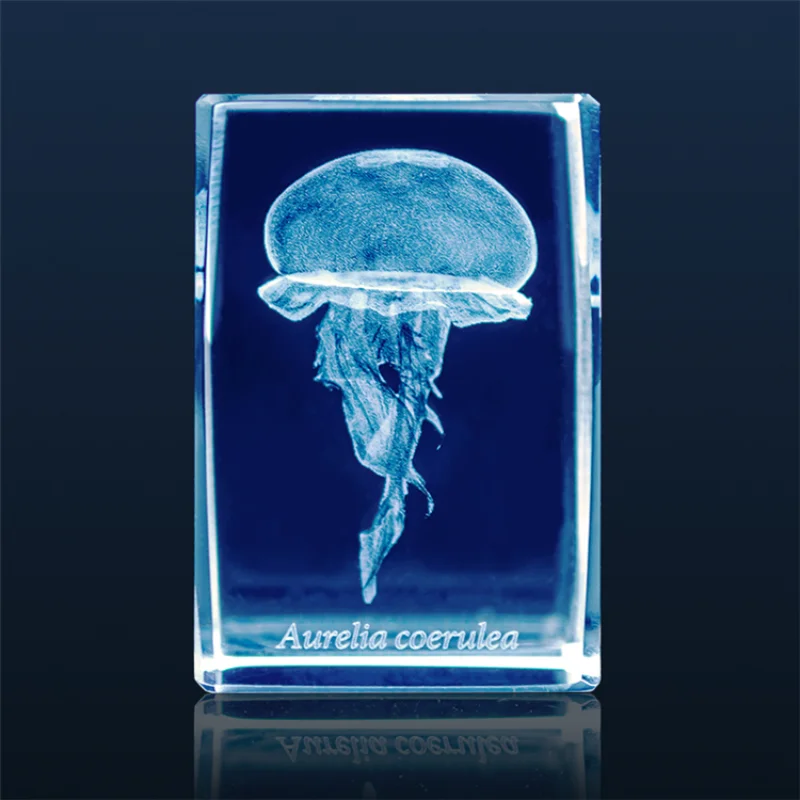 Japão Gashapon Jellyfish 3D Fi - Aquarium Fish Keeping avaliação e preço