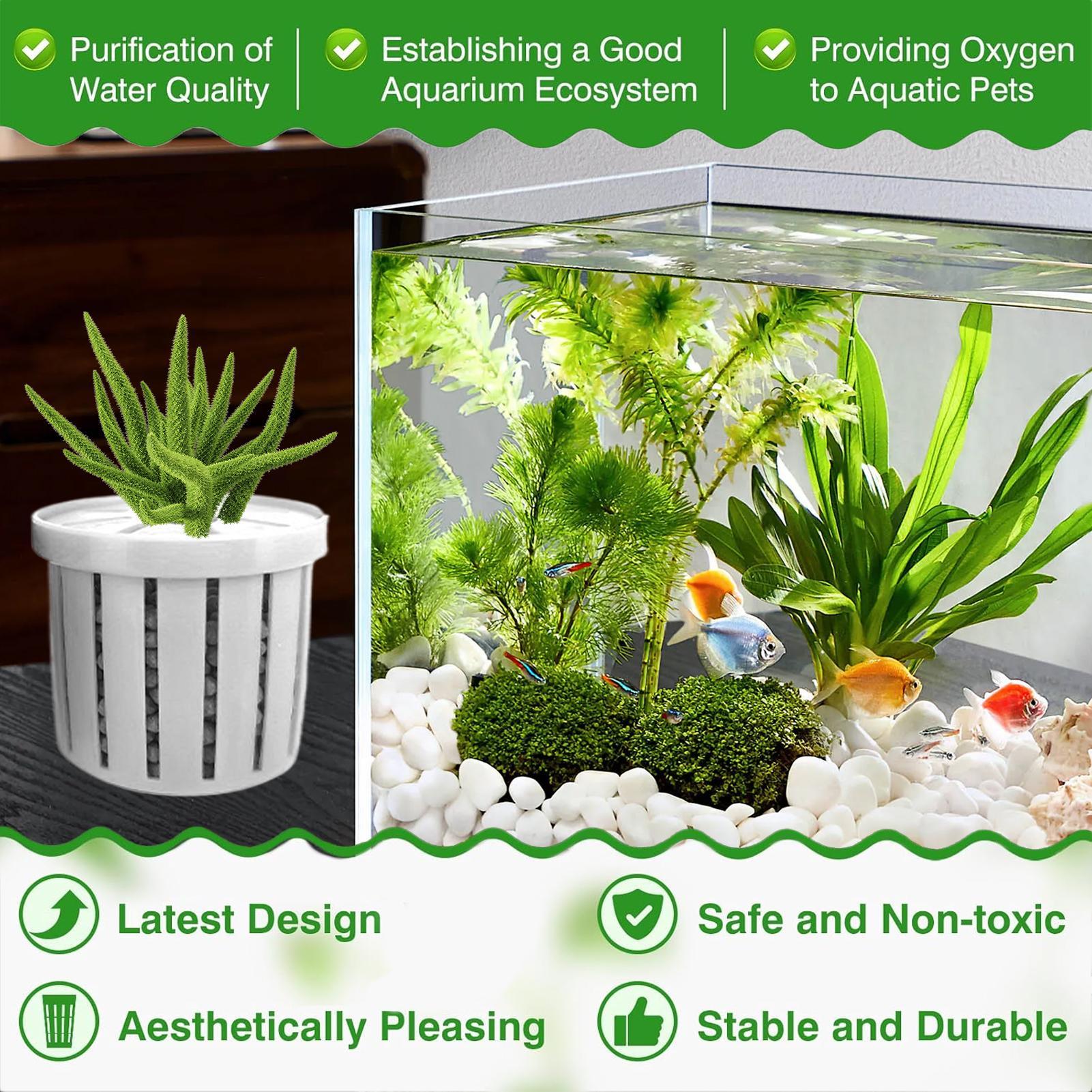 Conjunto de 4 Vasos Plantadore - Aquarium Fish Pot avaliação e preço