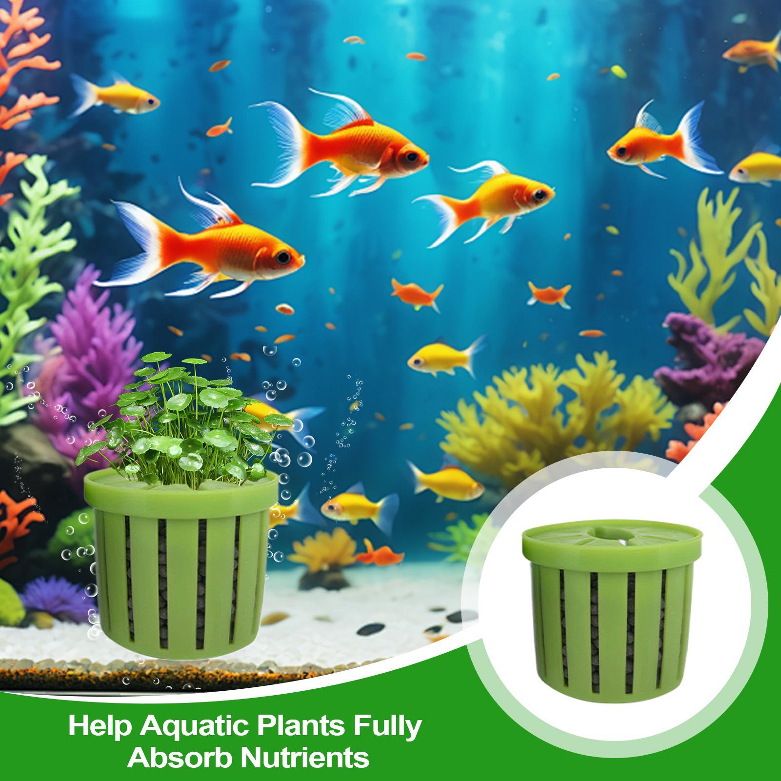 Conjunto de 4 Vasos Plantadore - Aquarium Fish Pot avaliação e preço