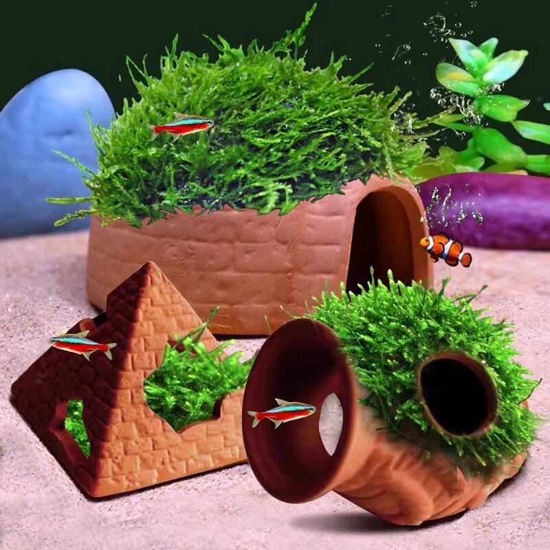   Tanque de Argila com Buraco  - Aquarium Fish Reproduction avaliação e preço
