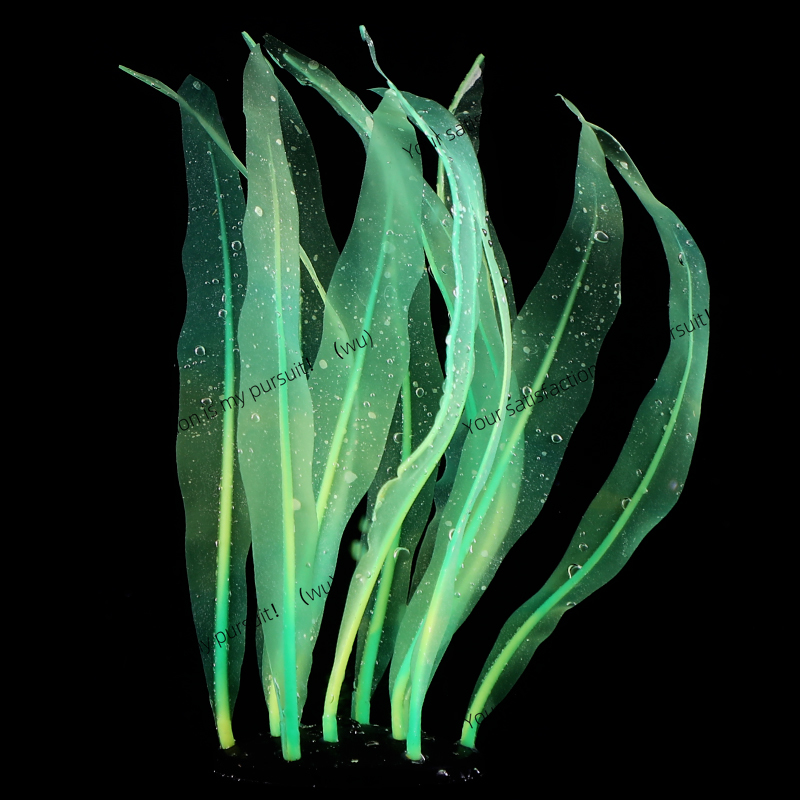 Simulado kelp planta decoração - Aquarium Fish World avaliação e preço