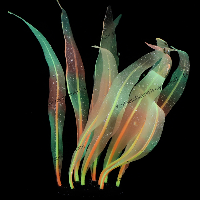 Simulado kelp planta decoração - Aquarium Fish World avaliação e preço