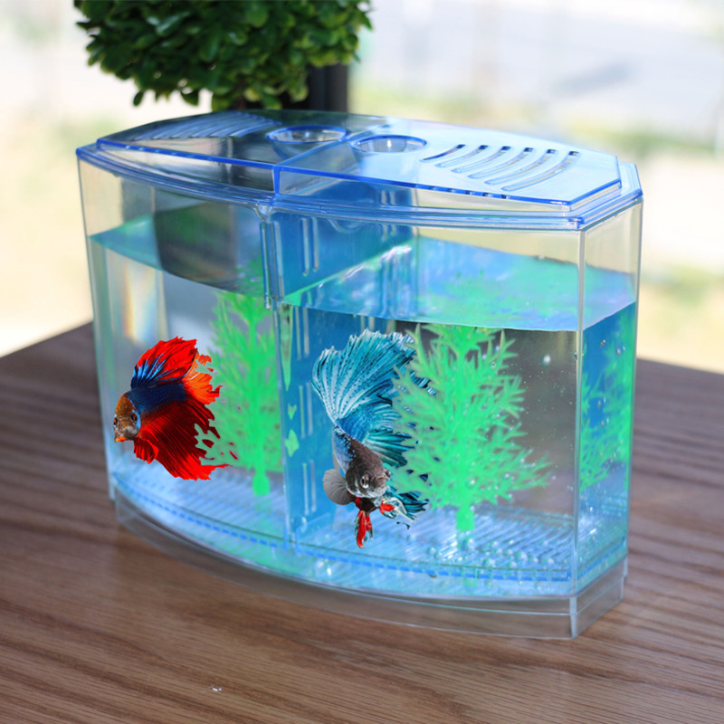 Novo e engraçado brinquedo cri - Aquarium Fish Keeping avaliação e preço