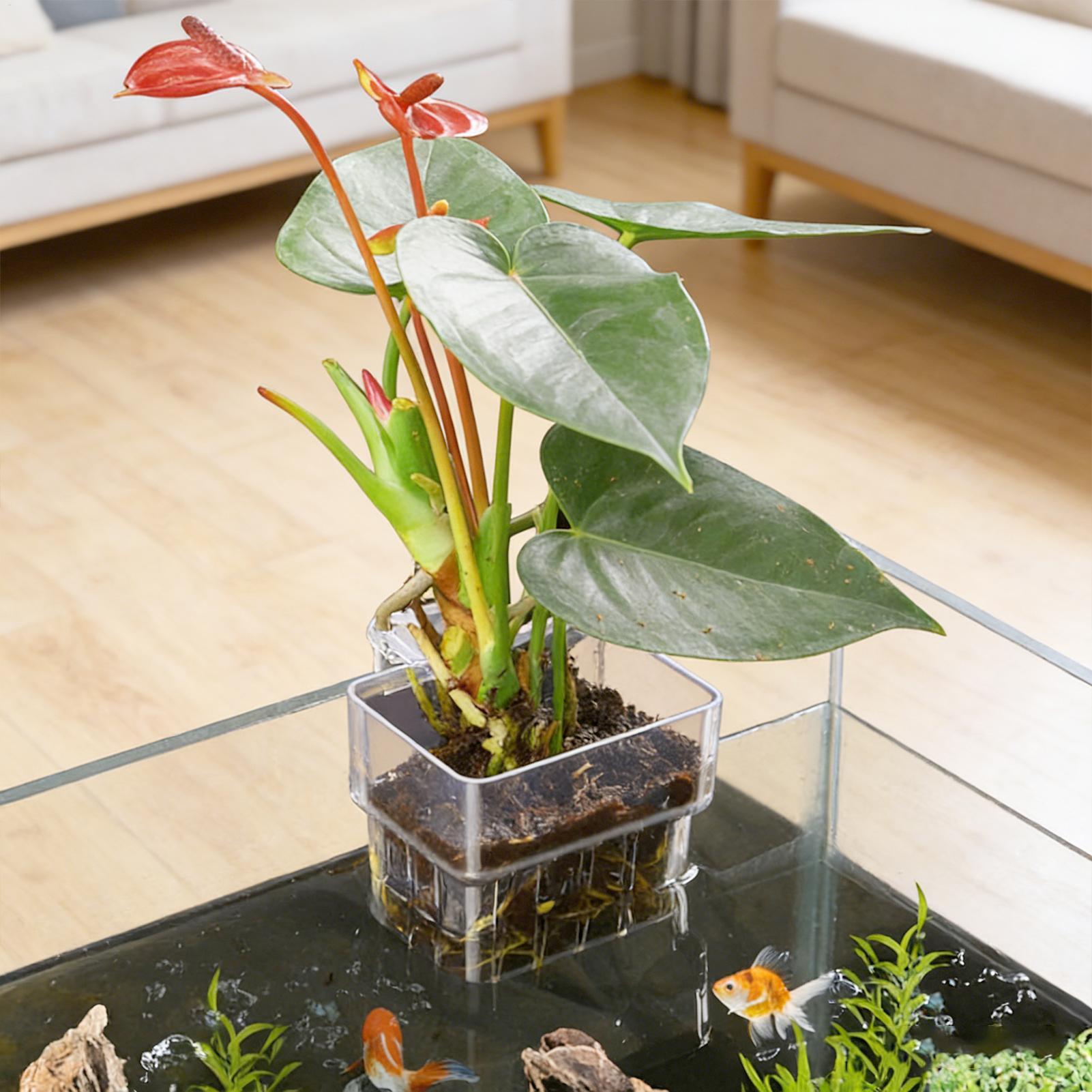 Suporte Transparente Penduráve - Aquarium Fish Pot avaliação e preço
