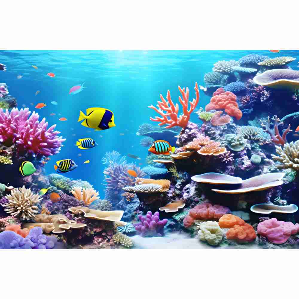 Fundo de fotografia subaquátic - Aquarium Fish World avaliação e preço