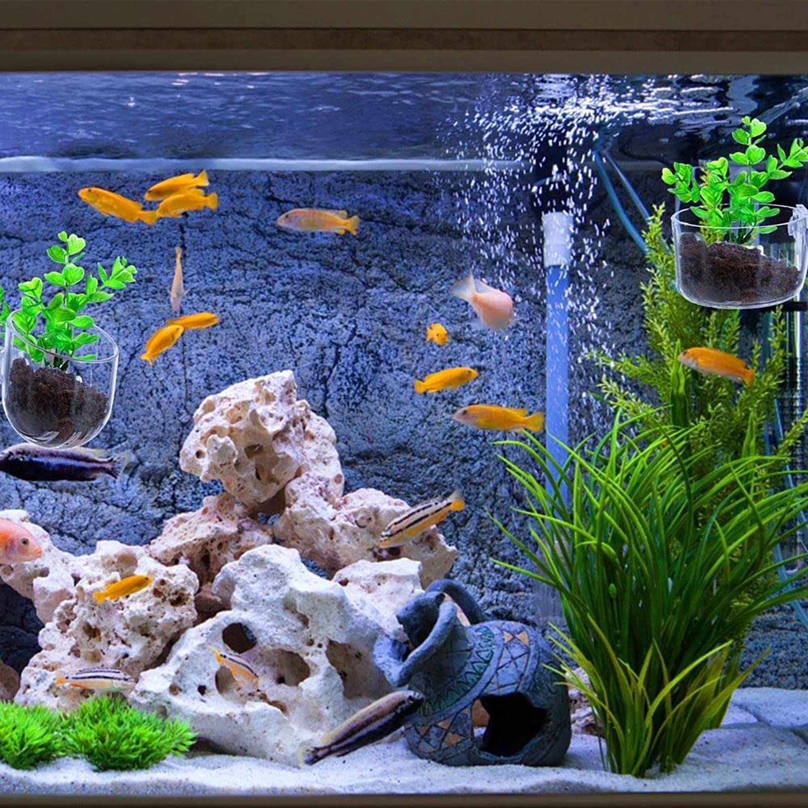 Vaso de plantas aquáticas, pla - Aquarium Fish Pot avaliação e preço