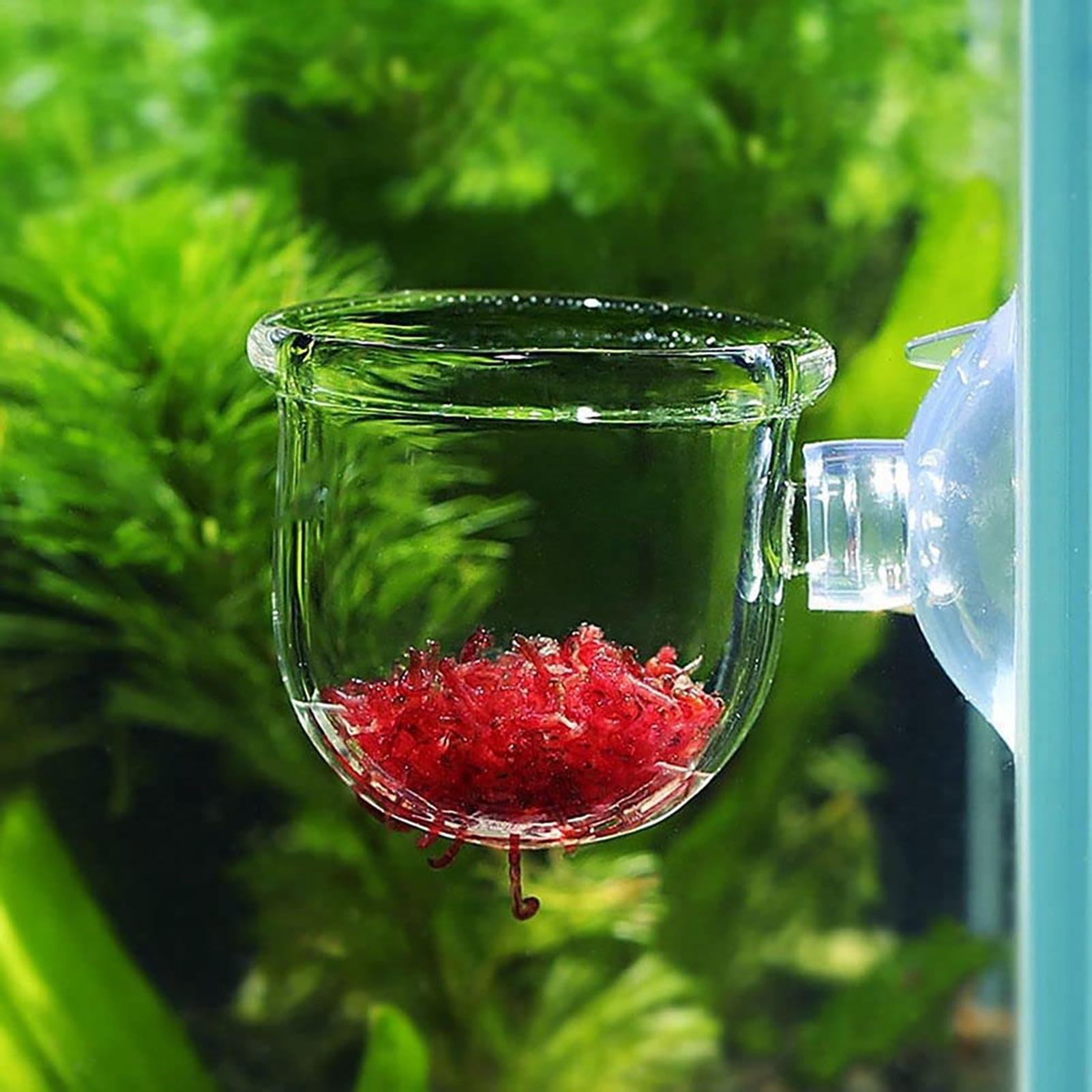 Vaso de plantas aquáticas, pla - Aquarium Fish Pot avaliação e preço
